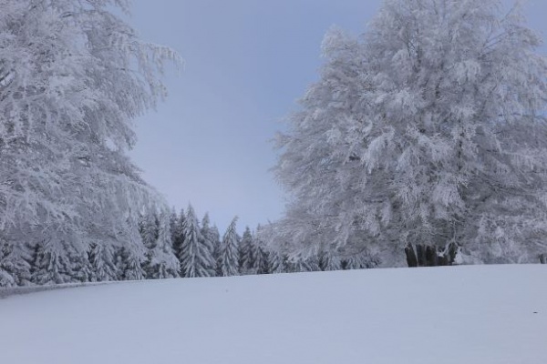 Entre la Vaisse et Montcineyre