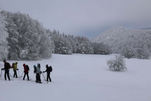 Le Puy de Montcineyre est en vue
