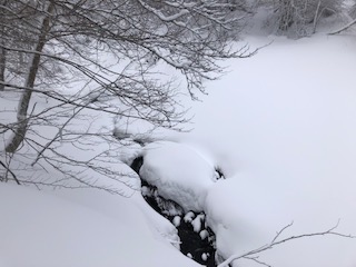 La neige et le ruisseau