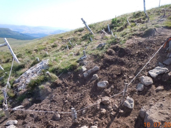 Zone revégétalisée dégradée
